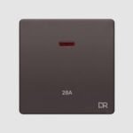 Rich Brown -20Amp Switch